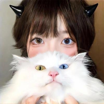 女孩大老板 在线观看